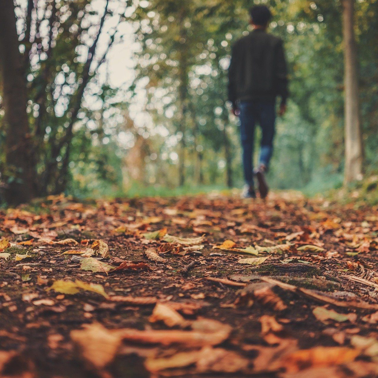 October Walk