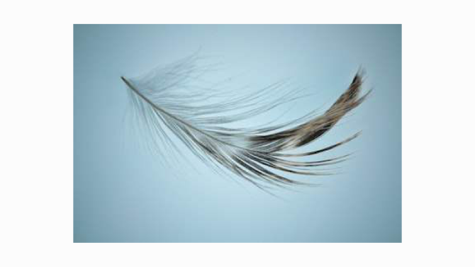 A light feather floating on a curve