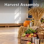 Harvest Assembly